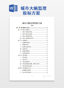 城市大脑监理投标方案