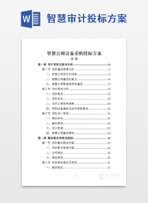 智慧审计投标方案