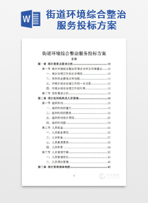 街道环境综合整治服务投标方案